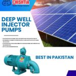 Deep Well Water Pump C110 Chistia